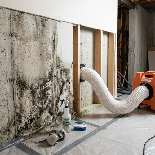 Mold-stained concrete basement wall beside open framing, water damage restoration in Idaho and Eastern Washington